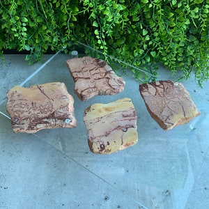 Picture Jasper Slab: Polished Stone of Grounding, Morocco