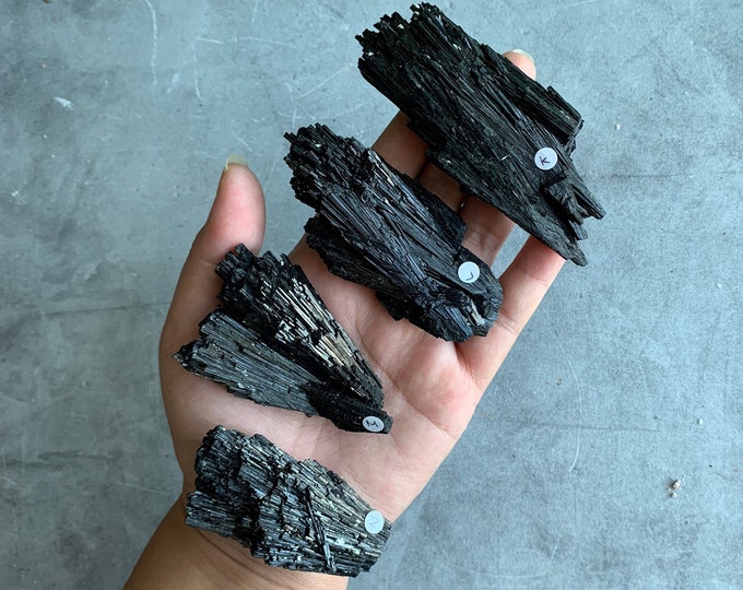 Medium Rare Black Tourmaline Fan Cluster, Rare Formation, High Quality, Peruvian, Pick Your Own, Stone of Spiritual Protection