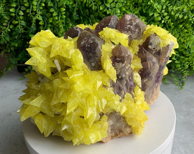 10+ Pound Rare Bypyramidal Sulfur on Amethyst Show Piece Cluster, Collectors Item, Stones of Relaxation and Energetic Clarity (B)