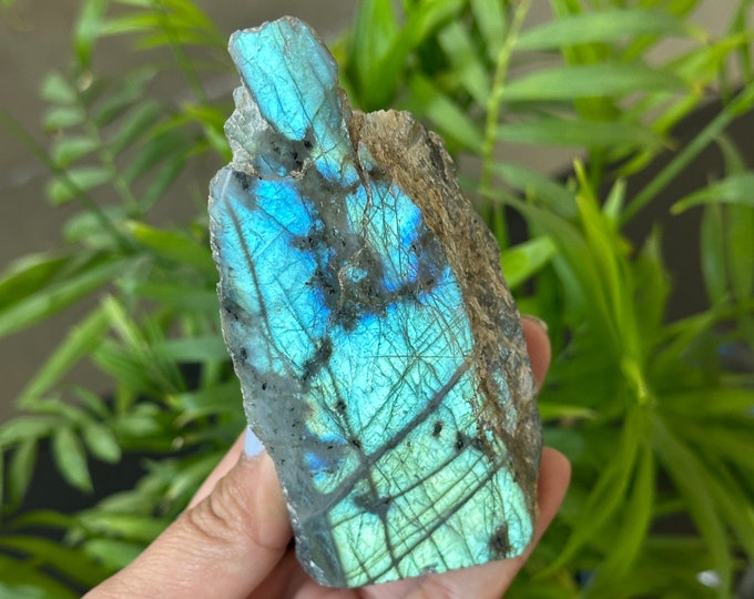 252g Green/Yellow Flash Labradorite Half Polished Freeform, Adularescence, Stone of Transformation