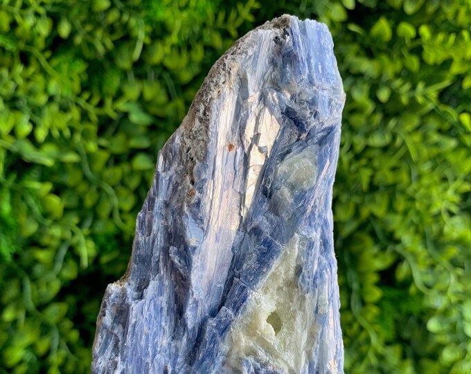 562g Baby Blue Kyanite with Golden Mica and Quartz Raw Stone, Stone of Connection