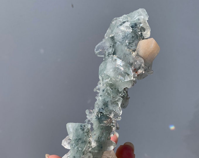 165g Rare and Gemmy Apophyllite Stalactite, Crystal Wand, Dogtooth Apophyllite, Clear Apophyllite, Very Rare, The Angelic Stone