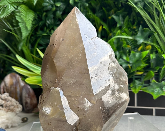 6+ Pound XL Elestial Smoky Quartz Show Piece Point with Self Healing on the Base, Extra Large Crystal, Stone of Protection