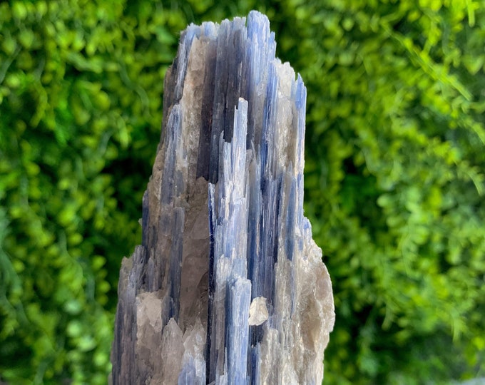 440g Baby Blue Kyanite with Golden Mica and Quartz Raw Stone, Stone of Connection