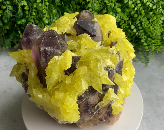 11+ Pound Rare Bypyramidal Sulfur on Amethyst Show Piece Cluster, Collectors Item, Stones of Relaxation and Energetic Clarity (C)