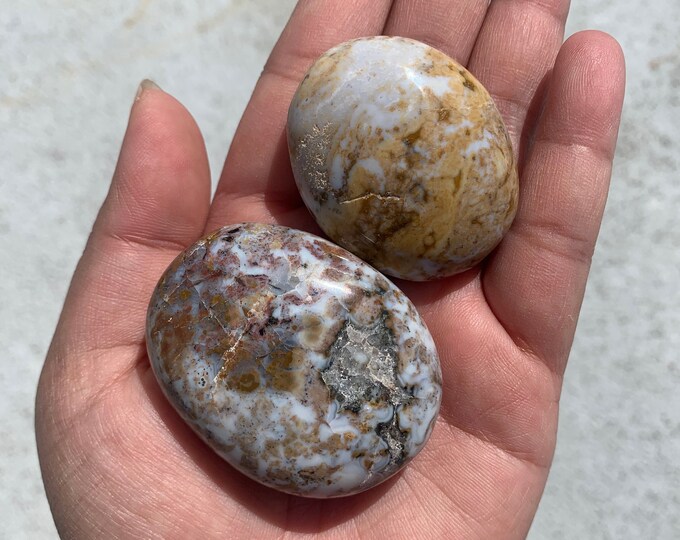 110g 2pc Pastel Orbicular Ocean Jasper Palm Stones, Small, Yellow, Pink, Stone of Uplifting Energy