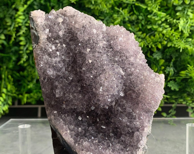 1241g Enchanting Lavender Amethyst Cluster on Cut Base, Stone of Relaxation