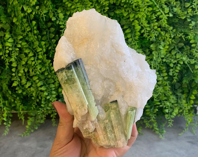 1126g Green Tourmaline on Quartz, Custom Stand, Stone of Joy