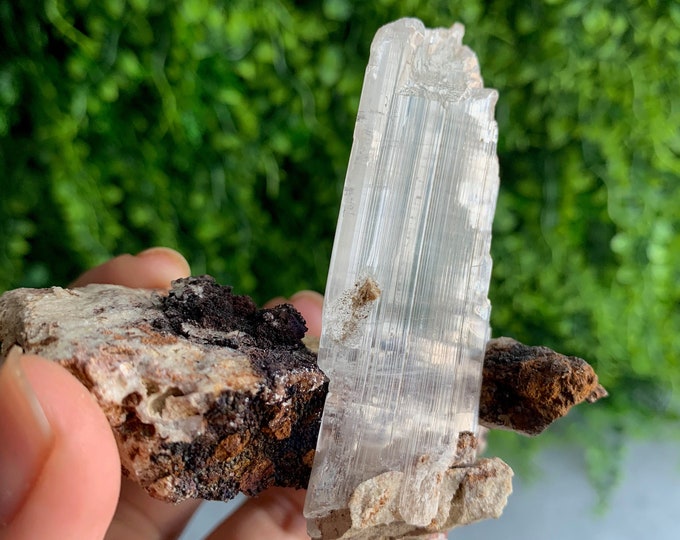 119g Shining Naica Selenite Specimen on Matrix, Elestial, , Collectors Piece, Schiller, Stone of Energy Cleansing