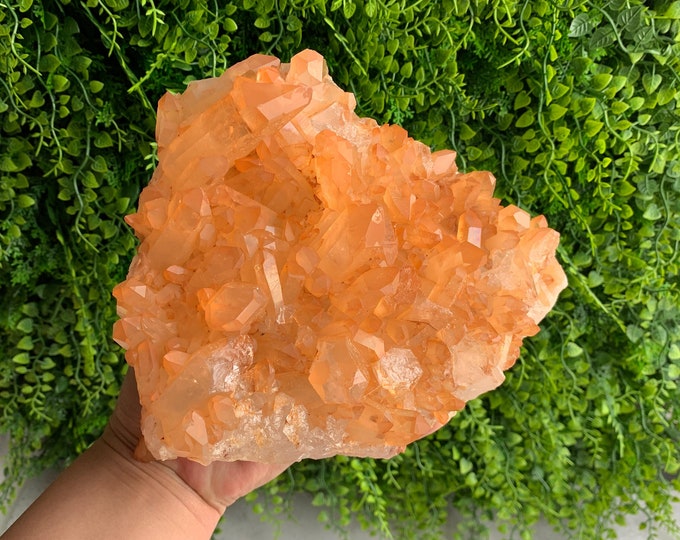 1948g XL Tangerine Lemurian Show Piece Cluster, Self Standing, Brazil, Stone of Joy