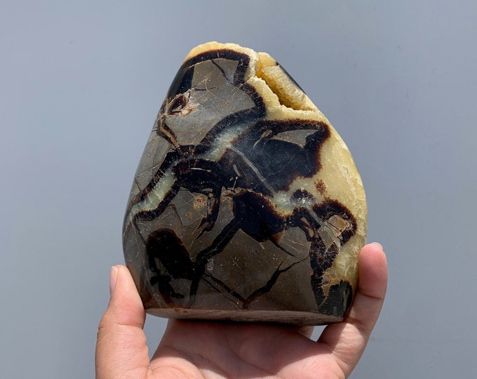 1169g Amazing Septarian Freeform, Natural Drusy, Dragons Egg, Leopard Pattern, Stone of Wholeness