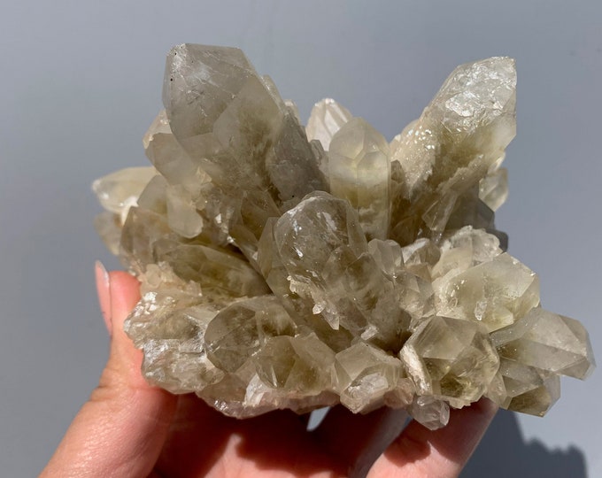 801g Light Smoky Quartz Flower Cluster, Pineapple Quartz Points, Phantoms, Stone of Grounding