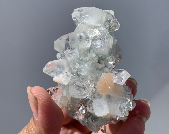 102g Rare and Gemmy Apophyllite Stalactite, Crystal Wand, Dogtooth Apophyllite, Clear Apophyllite, Very Rare, The Angelic Stone