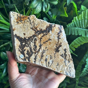 958g Raw Picture Jasper Stone: Freeform Flower Jasper