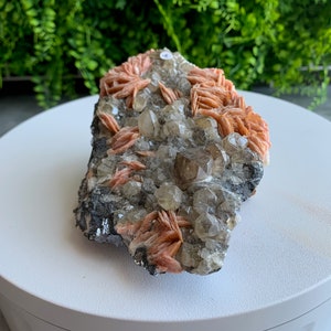 May include: A cluster of orange and white crystals on a gray rock. The crystals are arranged in a cluster and have a natural, rough texture.
