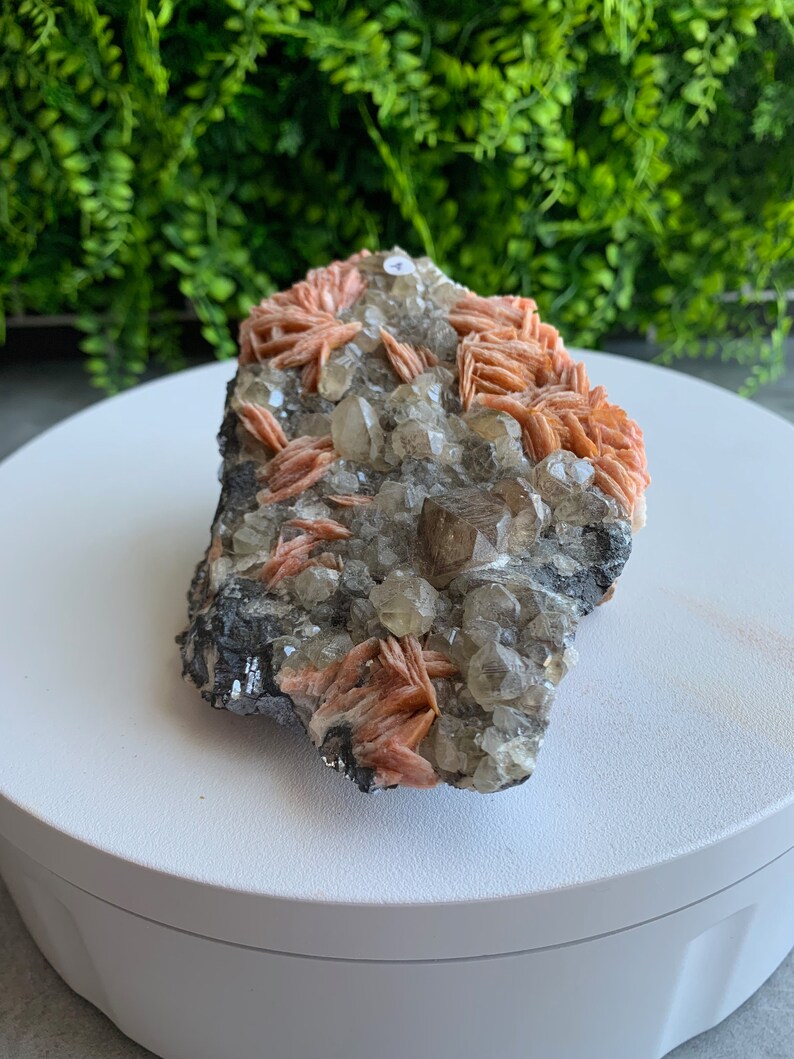 May include: A cluster of orange and white crystals on a gray rock. The crystals are arranged in a cluster and have a natural, rough texture.