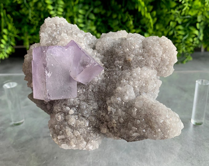 632g Cubic Purple Fluorite on Grey Quartz with a Druzy Pocket, Stone of Relaxation
