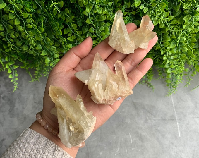 Small Citrine Cluster, Cut Base, Set 2, Iron Inclusions, Pick Your Own, Stone of Abundance