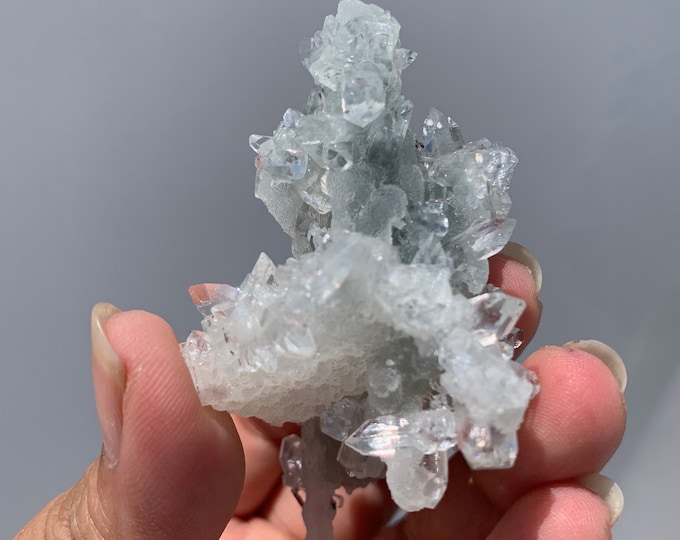 47g Rare and Gemmy Apophyllite Stalactite, Dogtooth Apophyllite, Clear Apophyllite, Very Rare, The Angelic Stone