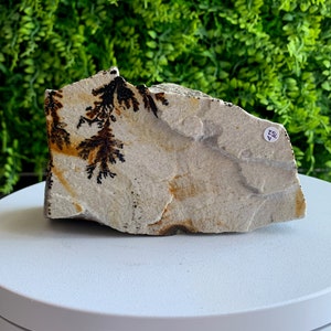 752g Dendritic Picture Jasper Raw Stone: Flower Jasper Freeform