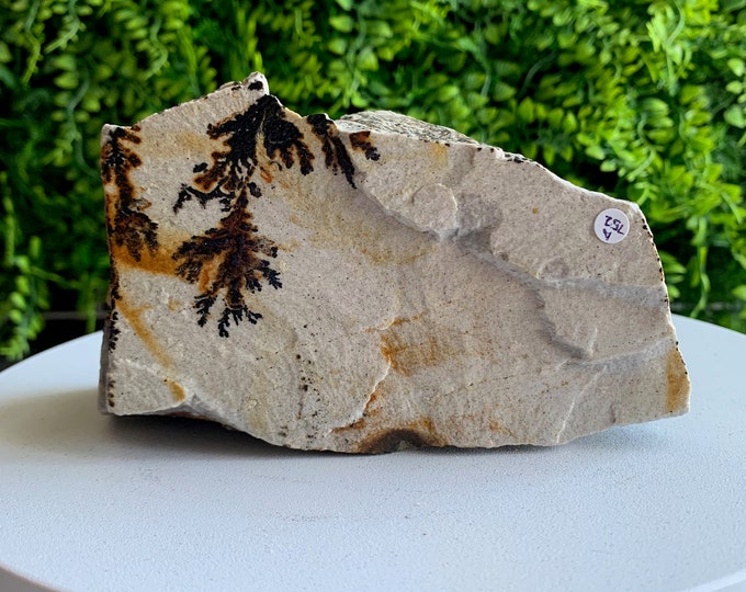 752g Beautiful Picture Jasper Raw Stone Freeform, Flower Jasper, Dendritic Jasper, Stone of Grounding