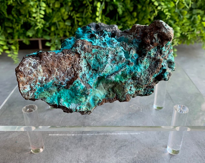 331g Raw Chrysocolla Specimen on Matrix, Rough Stone, Stone of Harmony
