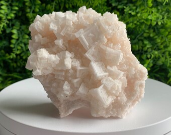 May include: A large, pink Himalayan salt crystal cluster with a rough, natural texture. The crystal is composed of many smaller, cubic crystals that are clustered together.