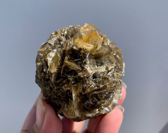175g Rare L Golden Selenite Bloom, Selenite Twin Blade, Fishtail, Manitoba, Gypsum var. Selenite, Gypsum Floater, Stone of Energy Cleansing