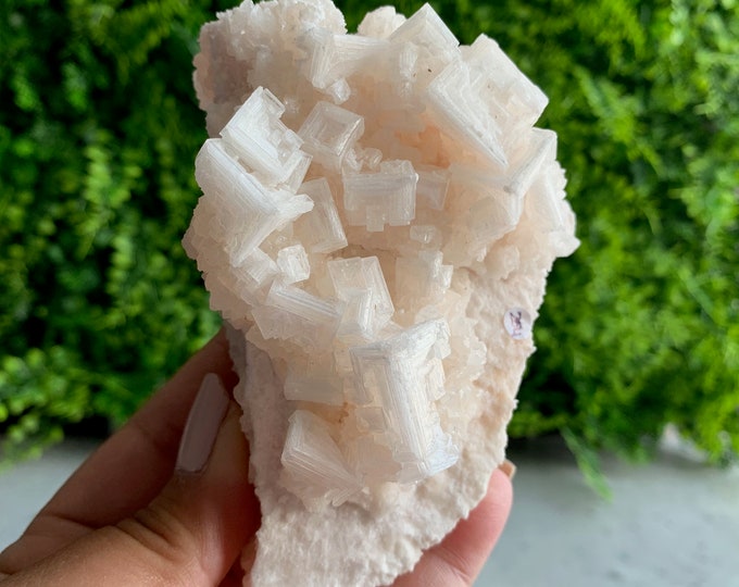 254g Peach/ Pale Pink Halite Specimen, High Shine, High Quality, Searles Lake, Inyo County, California, Stone of Self Love