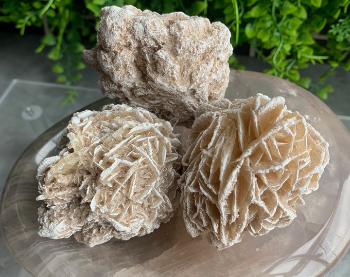 Beautiful Desert Rose Cluster Ball, Intuitive Pick, Stone of Energy Cleansing