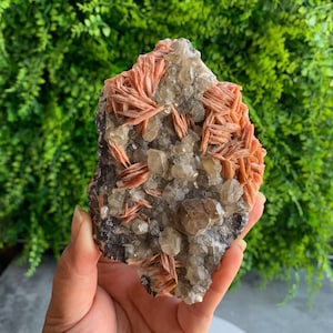 May include: A cluster of pink and clear crystals with a rough, natural texture. The crystals are arranged in a random pattern and have a variety of shapes and sizes.