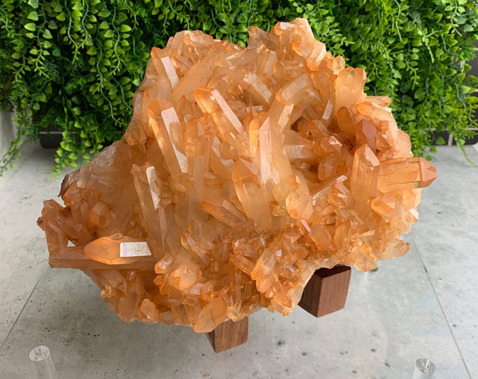2431g XL Tangerine Lemurian Show Piece Cluster, Brazil, High Quality, Stone of Joy