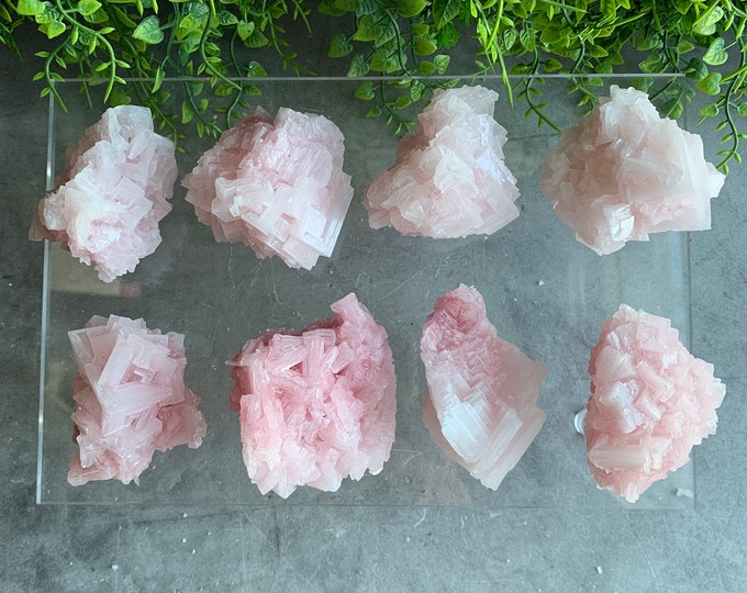 Rare Pink Halite Cluster Specimen, Set E, Owens Lake 2022, Inyo County, California, High Quality, Pick Your Own, Stone of Self Love