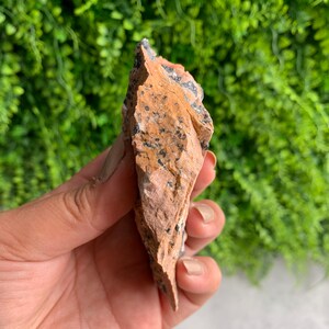 May include: A rough, orange-brown rock with black and white flecks. The rock is irregularly shaped and has a pointed tip.