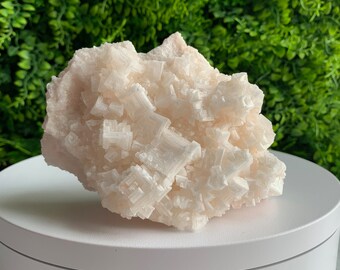 May include: A large, pink, natural salt crystal cluster with a rough, textured surface. The crystal is composed of many smaller, white, cubic crystals.