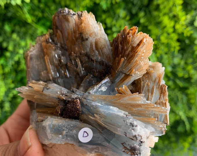 696g Baby Blue Barite Cluster Show Piece with Native Dirt, Hidden Rainbows, Chatoyant, Morocco, Gem Quality, Stone of Connection