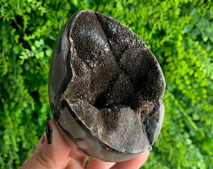 569g Septarian Nodule Egg, Black Velvet, Natural Drusy, Dragons Egg, Leopard Pattern, Stone of Wholeness