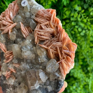 May include: A cluster of pink and clear crystals on a dark gray rock. The crystals are arranged in a random pattern and have a rough, natural texture.