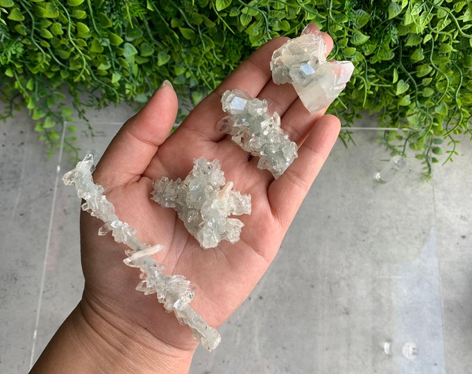Rare Small Apophyllite Stalactites, Gemmy, Dogtooth Apophyllite, Clear Apophyllite, Very Rare, Pick Your Own, The Angelic Stone
