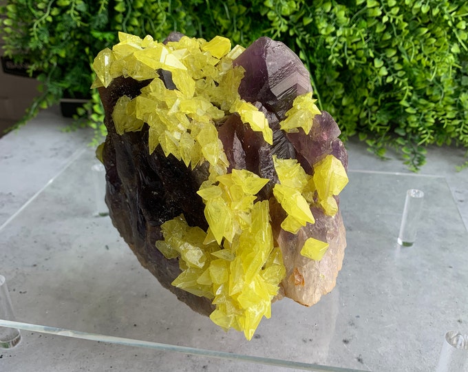 2450g Rare Bypyramidal Sulfur on Amethyst Show Piece Cluster, Collectors Item, Stones of Relaxation and Energetic Clarity (A)