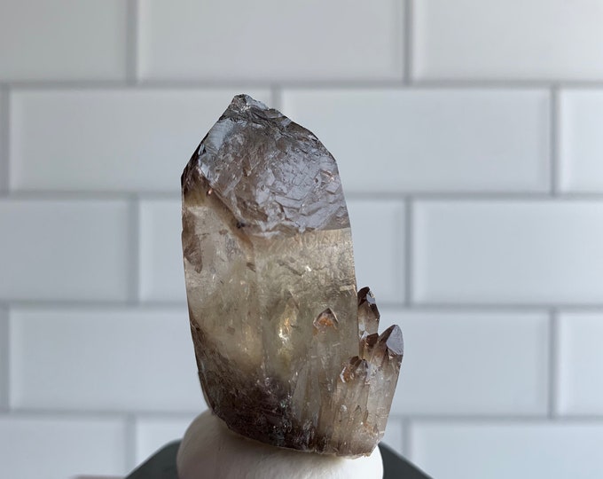 High Shine Smoky Quartz Pineapple Point, Stone of Resilience