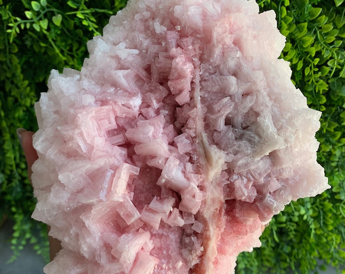 2089g Pink Halite Show Piece Cluster, High Shine, High Quality, Owens Lake 2022, Inyo County, California, Stone of Self Love