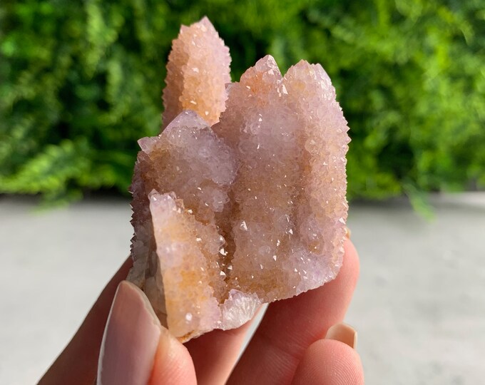 64g Amethyst Spirit Quartz / Cactus Quartz  Cluster with Citrine, South Africa, Three Points,  Stone of Relaxation