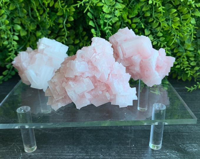 Rare Pink Halite Cluster Specimen, 12s, Owens Lake 2022, Inyo County, California, High Quality, Pick Your Own, Stone of Self Love