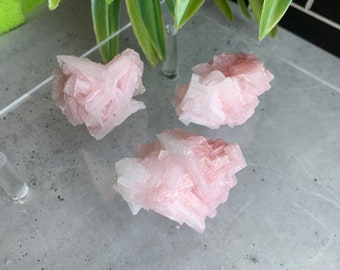 Puede incluir: Tres grupos de cristales de selenita rosa sobre una superficie gris. Los cristales son translúcidos y tienen una estructura delicada y en capas.