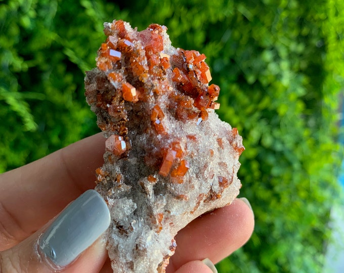 63g Red Vanadinite Specimen, Fire Element, Dendritic Matrix, Sacral Chakra, Morocco, Stone of Creativity