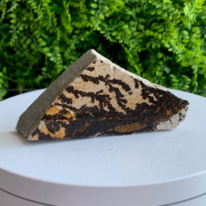 Dendritic Picture Jasper Raw Stone: Grounding Stone (239g)