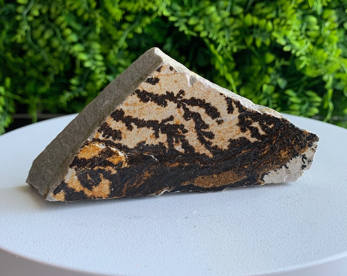 239g Beautiful Picture Jasper Raw Stone Freeform, Flower Jasper, Dendritic Jasper, Stone of Grounding