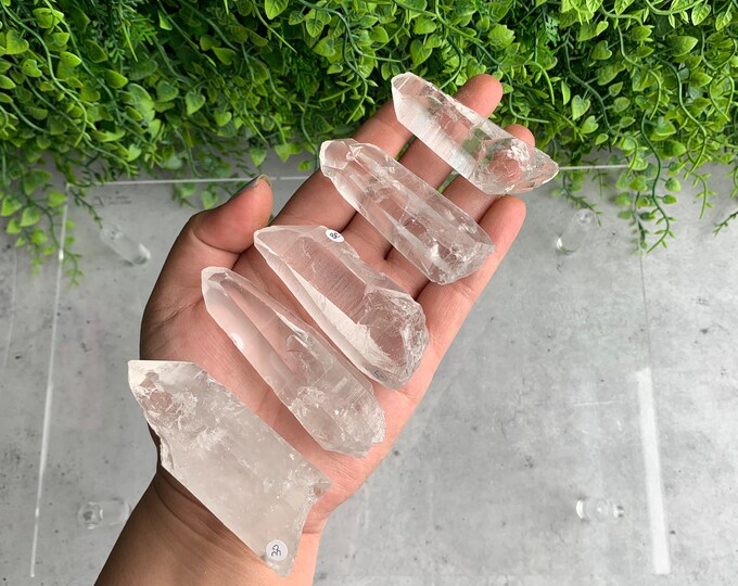 Lemurian Clear Quartz Point, Santander Columbia, Schiller, Tantric Points, Pocket Stone, Pick Your Own, Stone of Amplifying Energy