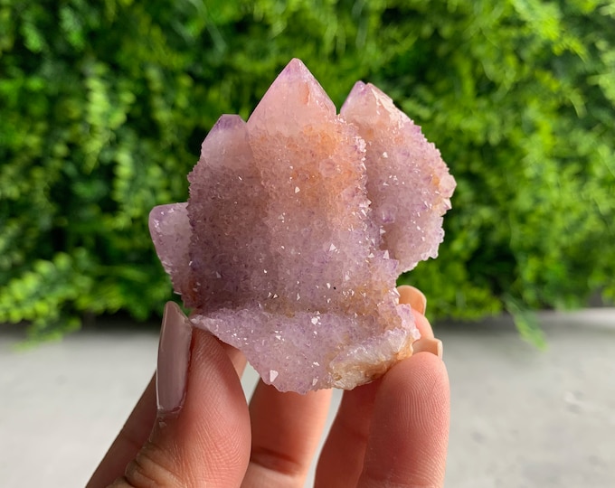 107g Amethyst Spirit Quartz / Cactus Quartz Cluster with Citrine, South Africa, Three Points,  Stone of Relaxation